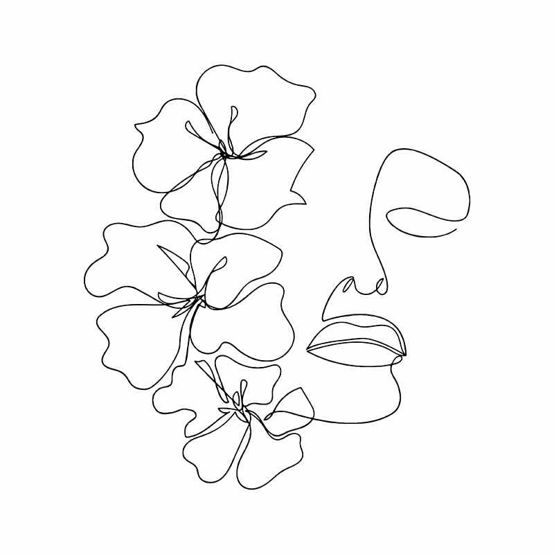 Πίνακας σε καμβά Line Art Face and Flowers